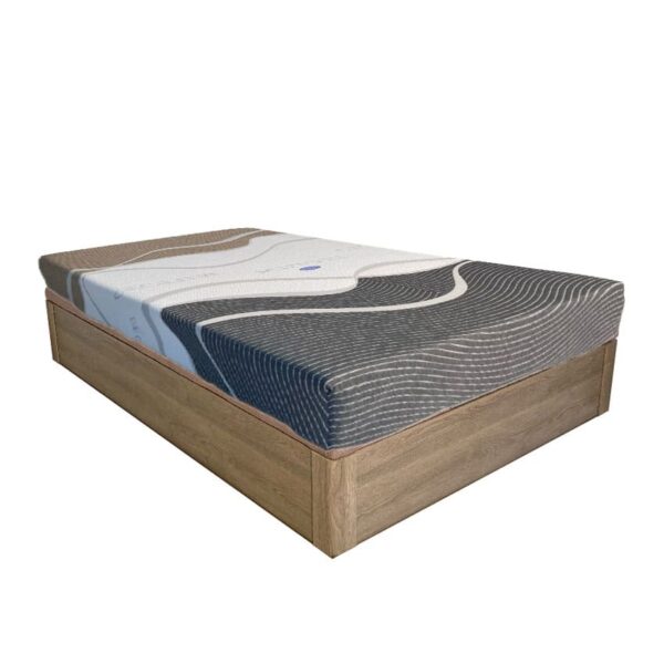 pack lectum 25